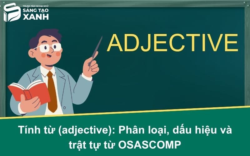 Tính từ (Adjective): Phân loại, dấu hiệu và trật tự từ OSASCOMP
