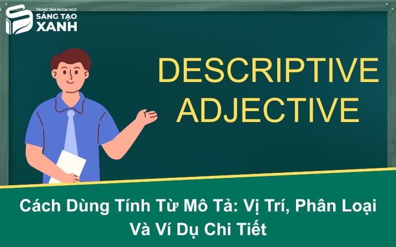Cách Dùng Tính Từ Mô Tả: Vị Trí, Phân Loại Và Ví Dụ Chi Tiết