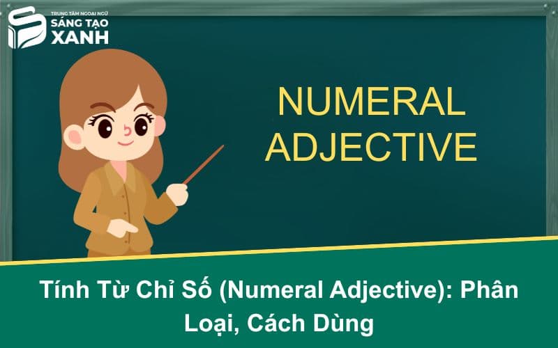Tính Từ Chỉ Số (Numeral Adjective): Phân Loại, Cách Dùng