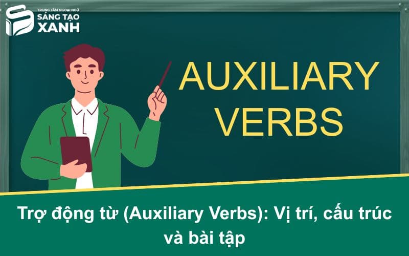 Trợ động từ (Auxiliary Verbs): Vị trí, cấu trúc và bài tập